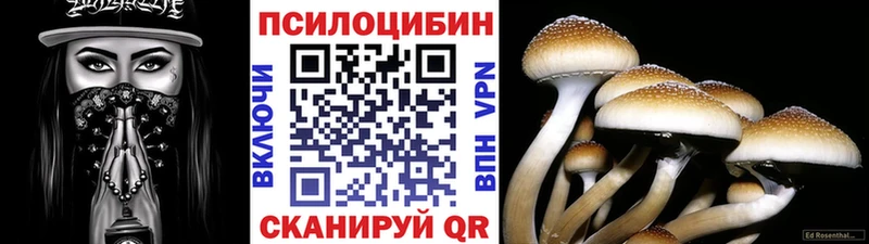 Псилоцибиновые грибы Cubensis  Городовиковск 